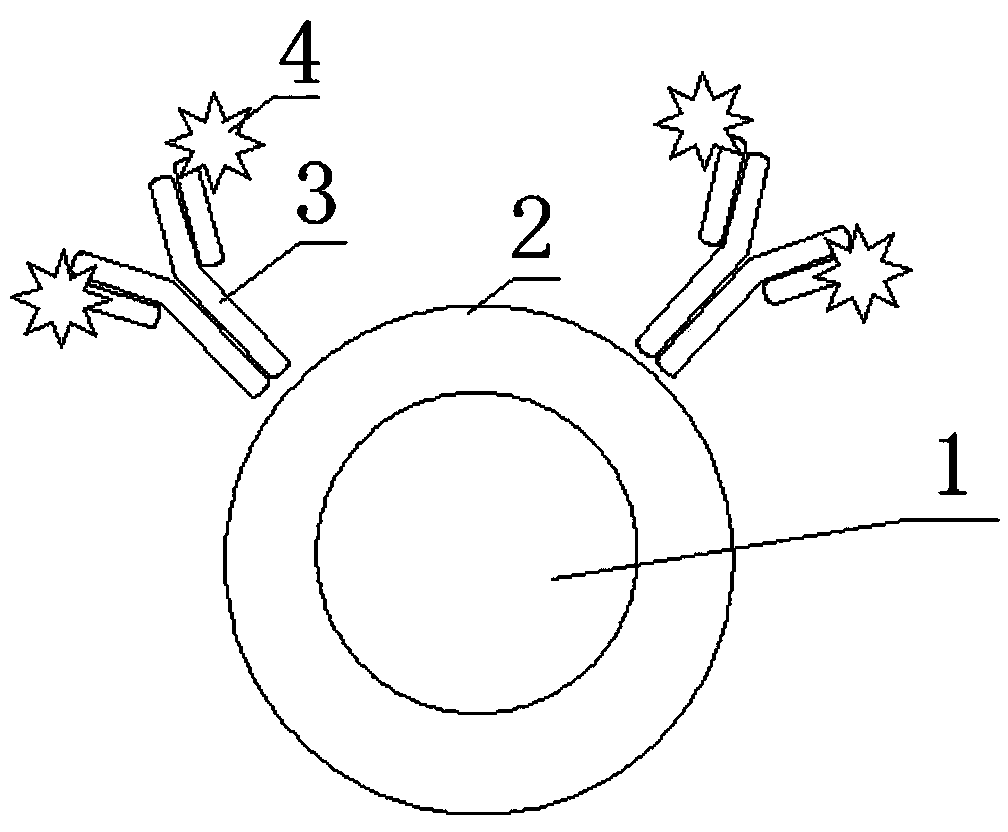 specific-molecular-probe-for-breast-cancer-mr-fluorescent-bimodal