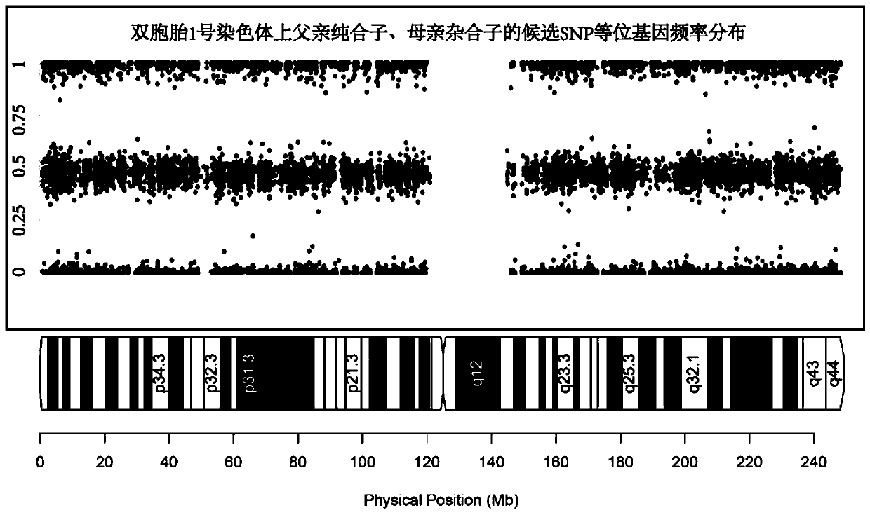 Method for identifying SNP genotype-based monozygotic twins, fraternal twins and second polar body participated fertilized twins