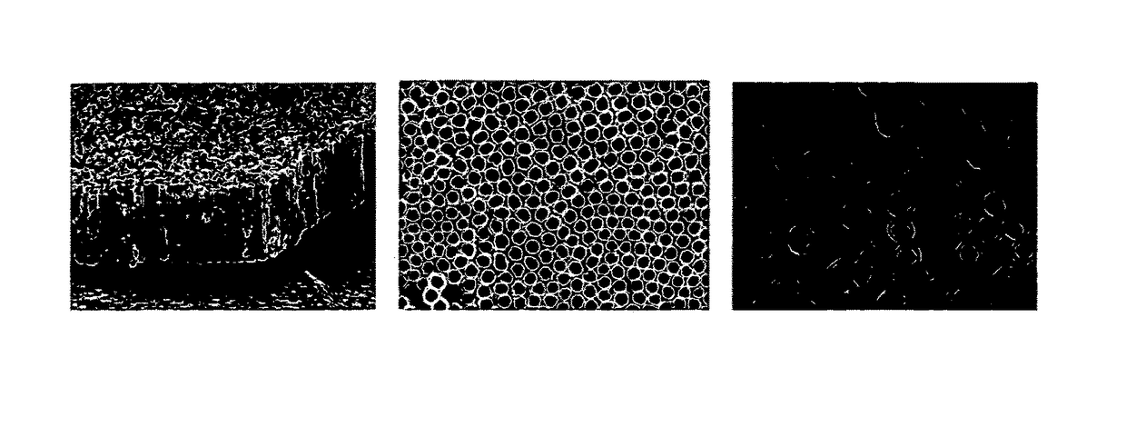 Nanostructure surface coated medical implants and methods of using the same