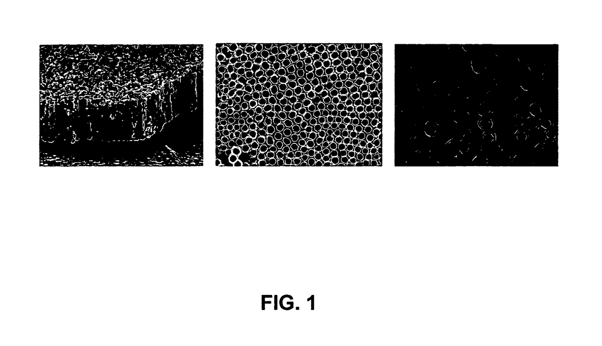 Nanostructure surface coated medical implants and methods of using the same