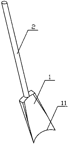 Shovel blade for digging bamboo shoots