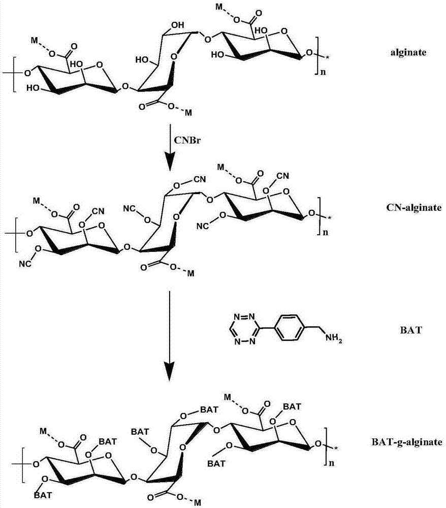 PEG in-situ covalently grafting modified alginate microcapsule, preparation and application thereof