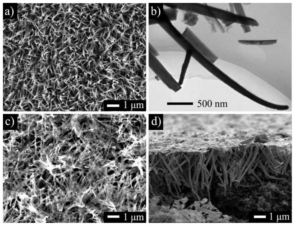 Preparation and Application of Ordered Gas Diffusion Electrode Based on Nanotube Array