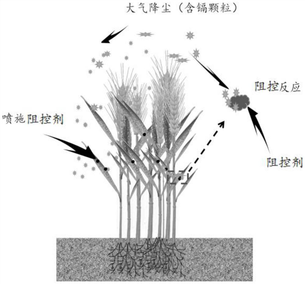A kind of foliar inhibitor for suppressing cadmium pollution of wheat atmospheric dust and its application method