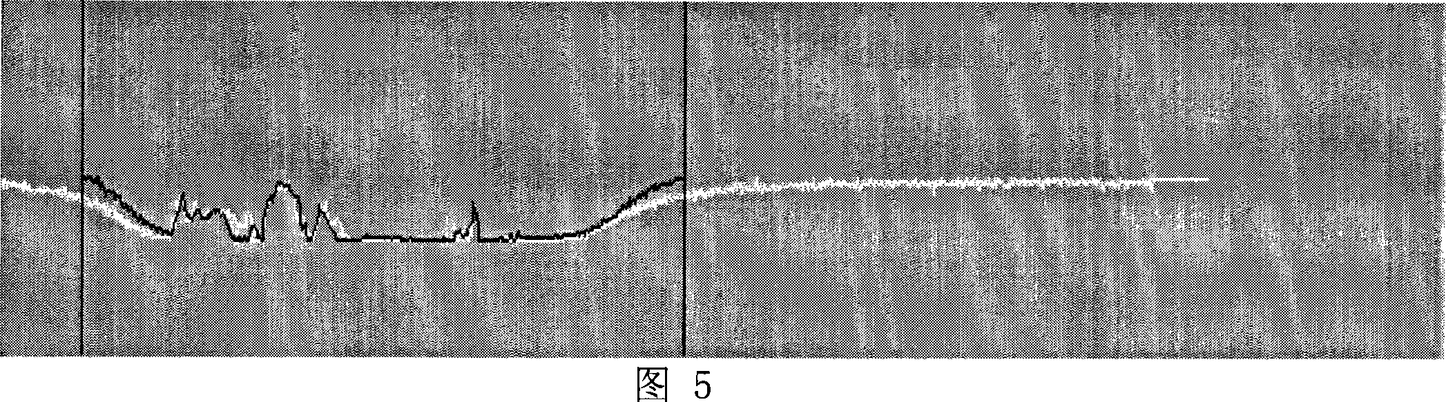 Method for matching vehicle speed based on linear array CCD image