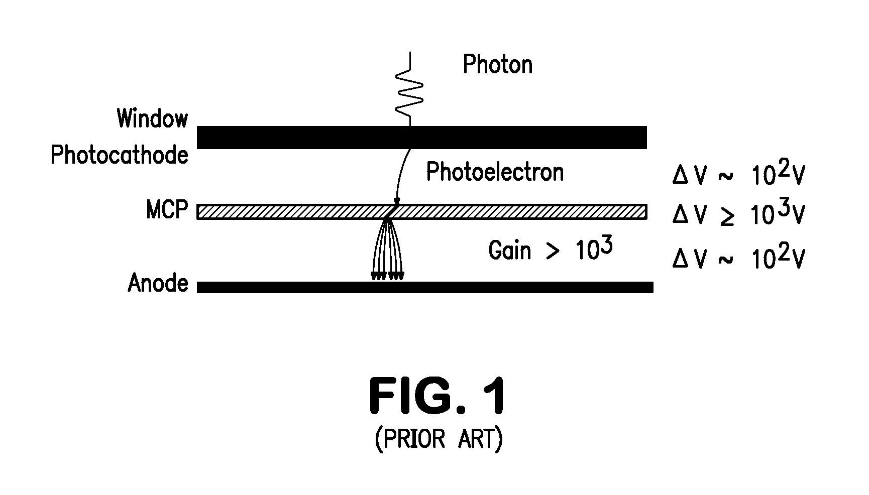Electrostatic Suppression of Ion Feedback in a Microchannel Plate Photomultiplier