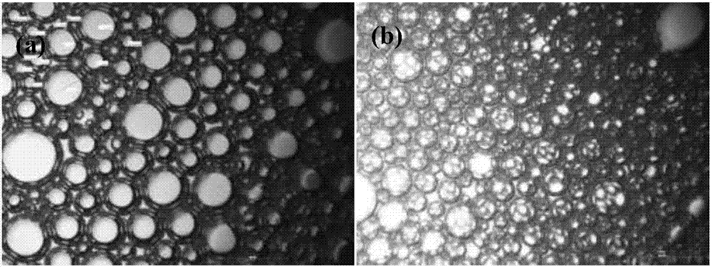 Nano-modified super-stable foam and application thereof in ultralight-density cement-based porous material