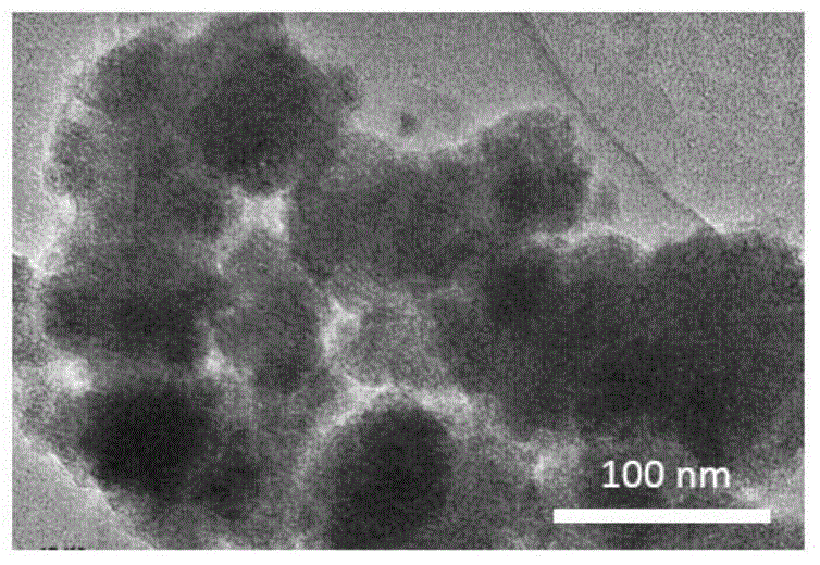 Application of metal fullerene monocrystal nanoparticles in preparation of specific tumor vascular disrupting agent
