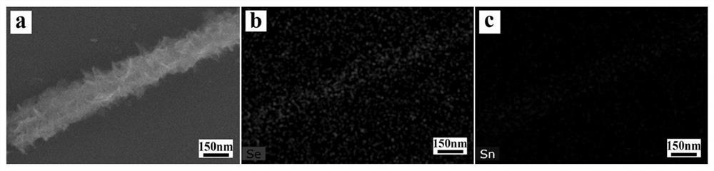 Scaled hollow SnSe nanotube self-powered infrared detector and preparation method thereof