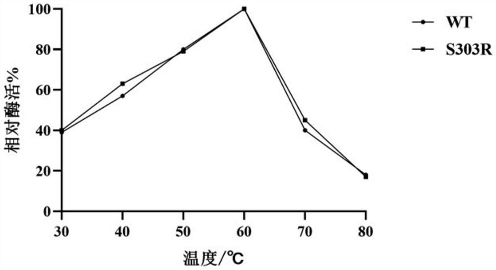 Alpha-L-rhamnosidase mutant enzyme, gene and expression preparation method