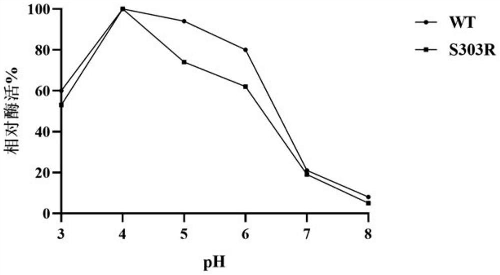 Alpha-L-rhamnosidase mutant enzyme, gene and expression preparation method