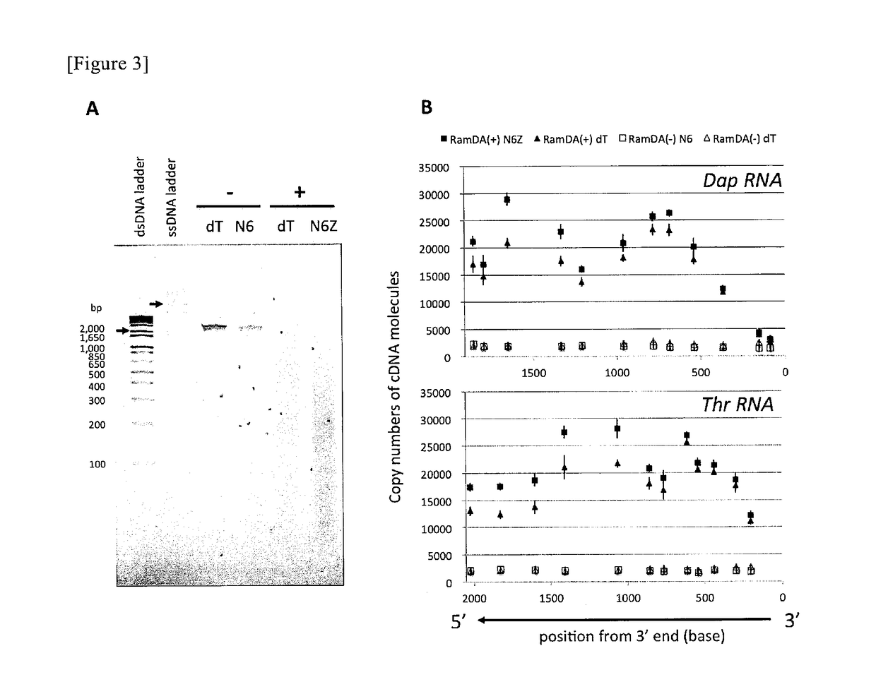 Method for nucleic acid amplification