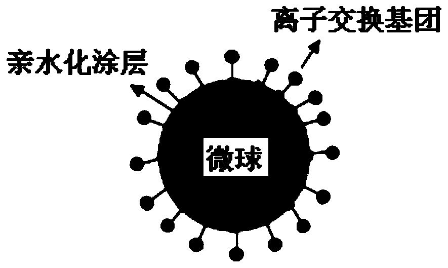 A preparation method of hydrophilic high-capacity ion exchange separation and purification microsphere material