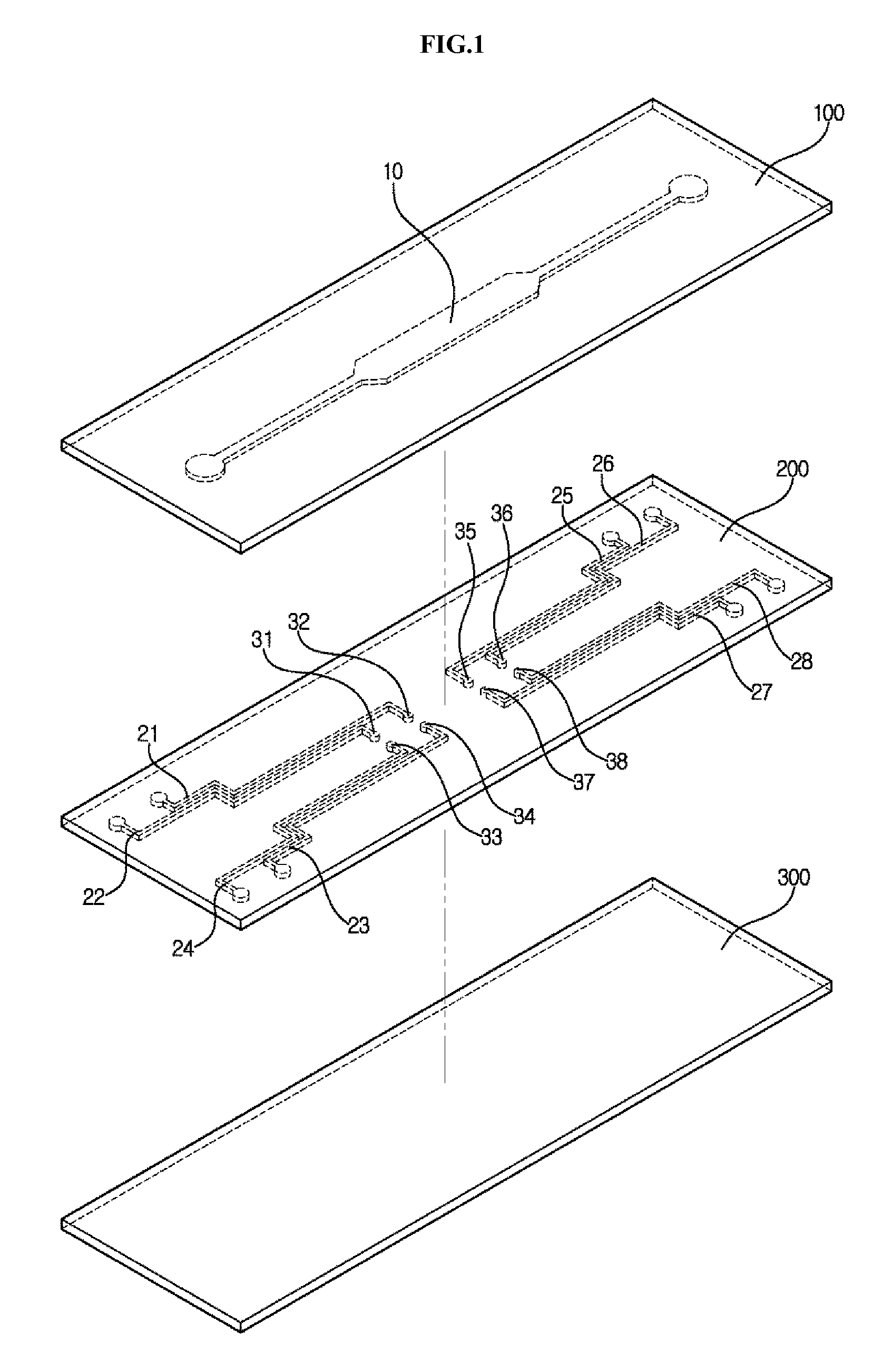 Apparatus for single cell separation and position fixing