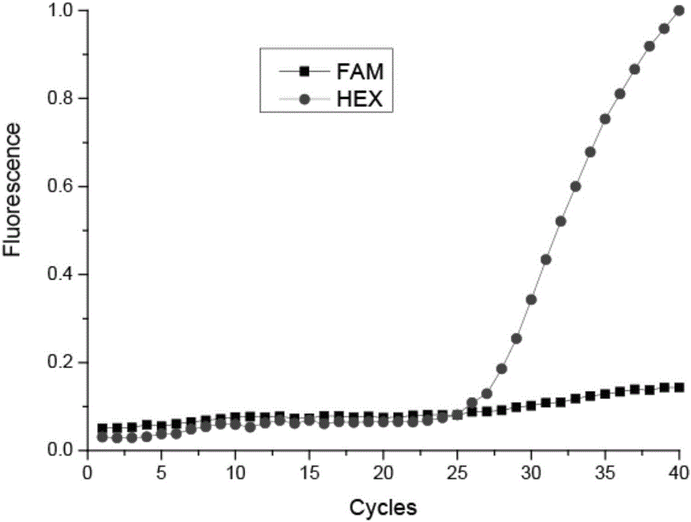 2385 polymorphism detection kit for LRRK2 gene