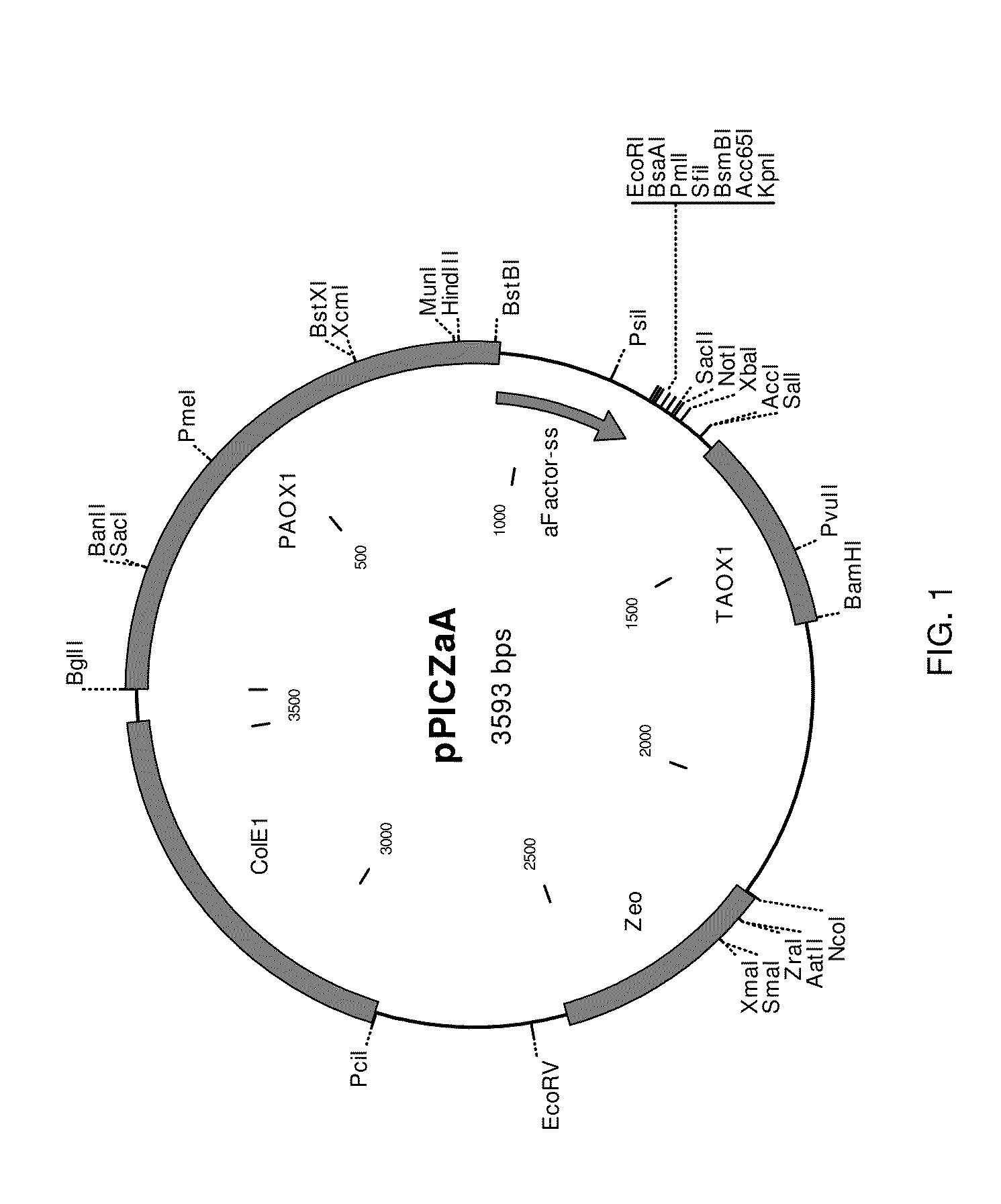 Glycosylated modified flavin adenine dinucleotide-dependent glucose dehydrogenases, compositions thereof as well as methods of making and using the same