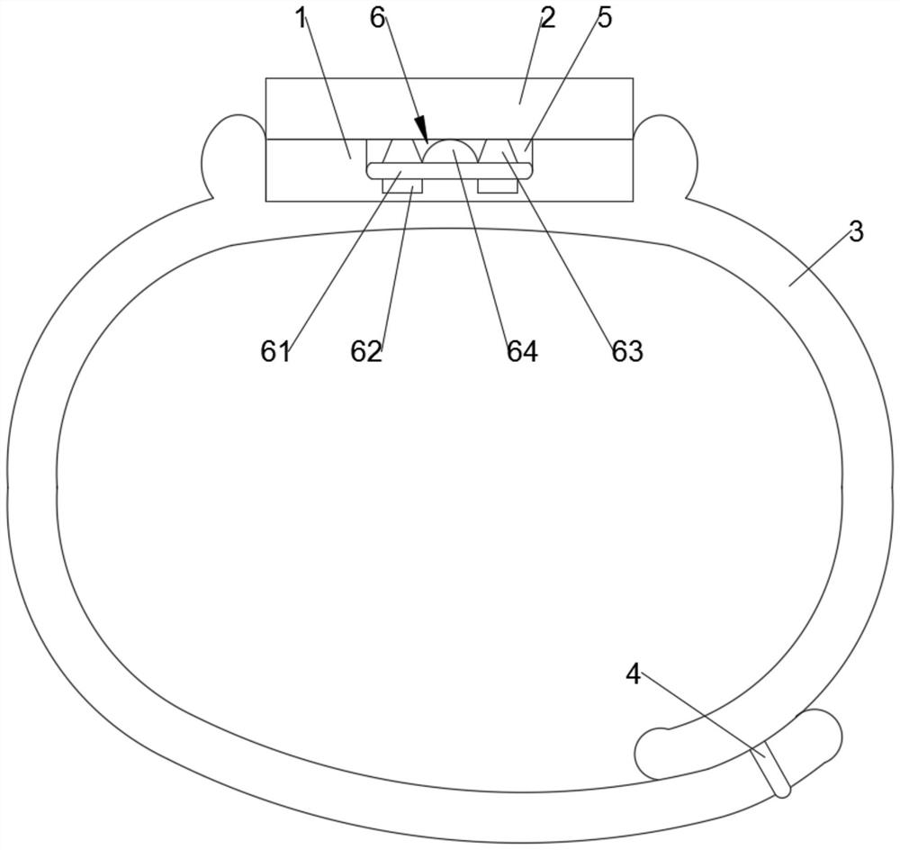 Smart bracelet and internet service system