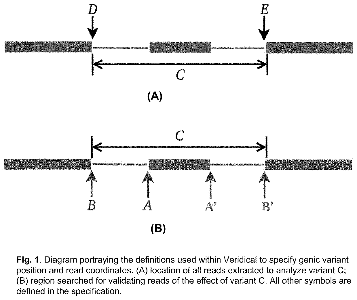 Method of validating mRNA splicing mutations in complete transcriptomes