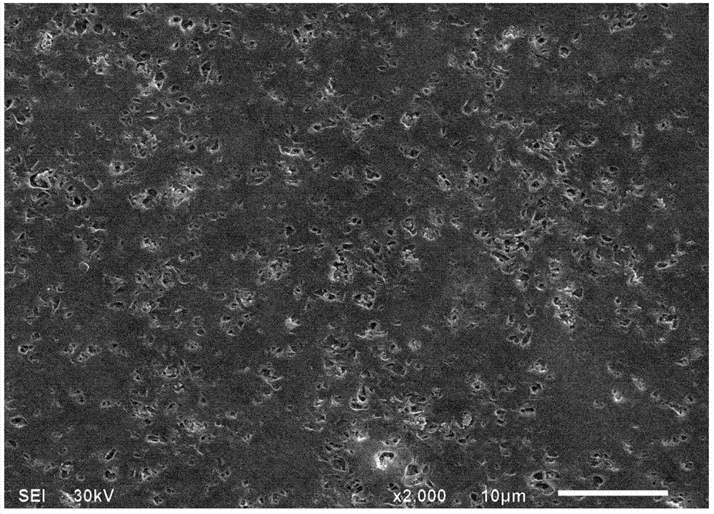 PVDF-HFP-based composite porous polymer diaphragm and preparation method thereof