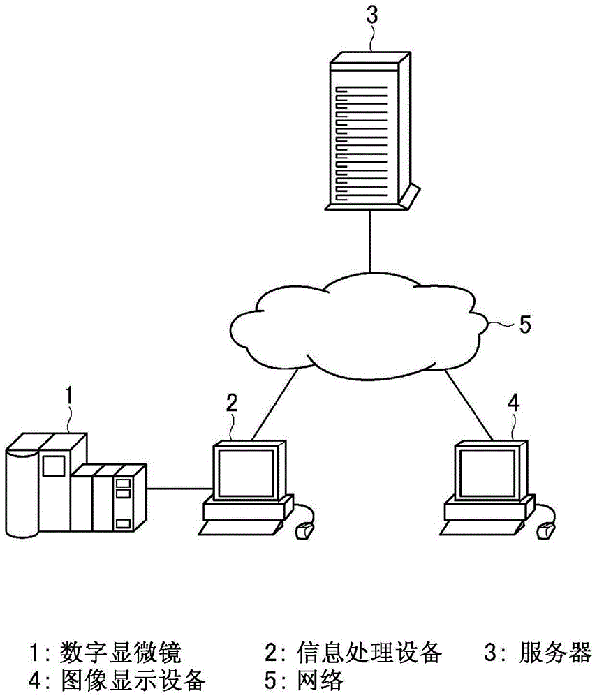 Information processing equipment, information processing method and microscope system