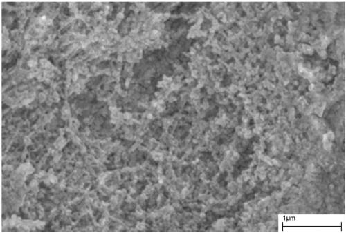 Environment-friendly type corrosion resistant composition for normal temperature descaling of metal materials