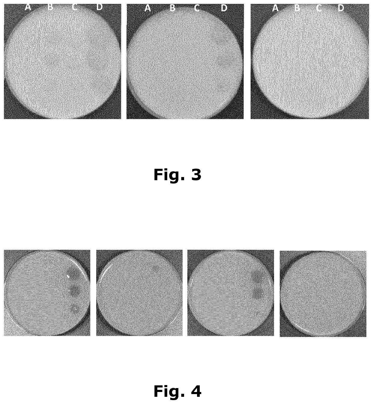 <i>Lactobacillus rhamnosus </i>with increased diacetyl production