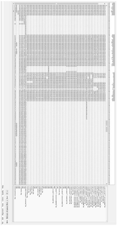 Primer group for detecting mycobacteria based on nucleic acid mass spectrometry technology and application of primer group