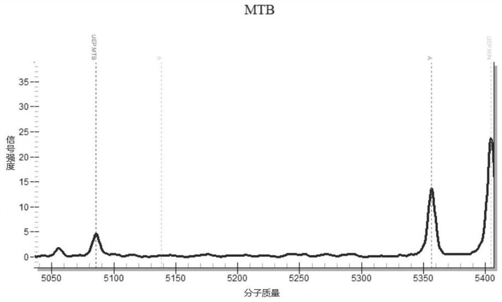 Primer group for detecting mycobacteria based on nucleic acid mass spectrometry technology and application of primer group