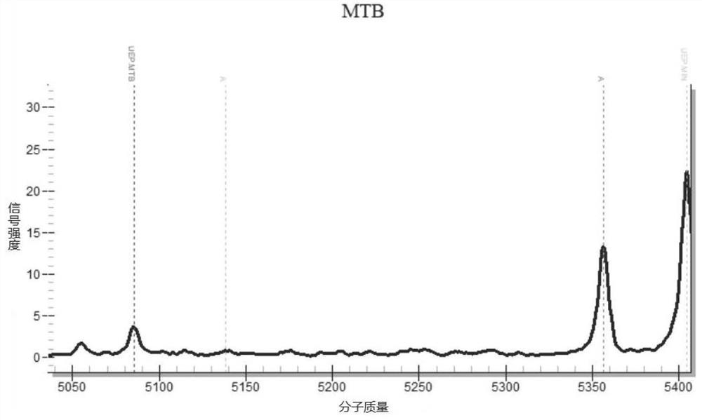 Primer group for detecting mycobacteria based on nucleic acid mass spectrometry technology and application of primer group