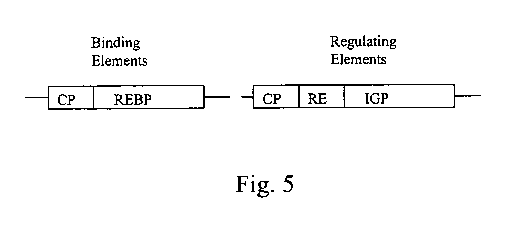Gene transfer methods and compositions