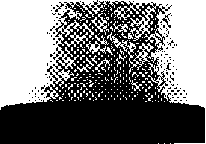 Method for correcting deviation of projected image rotating center in Micro CT system