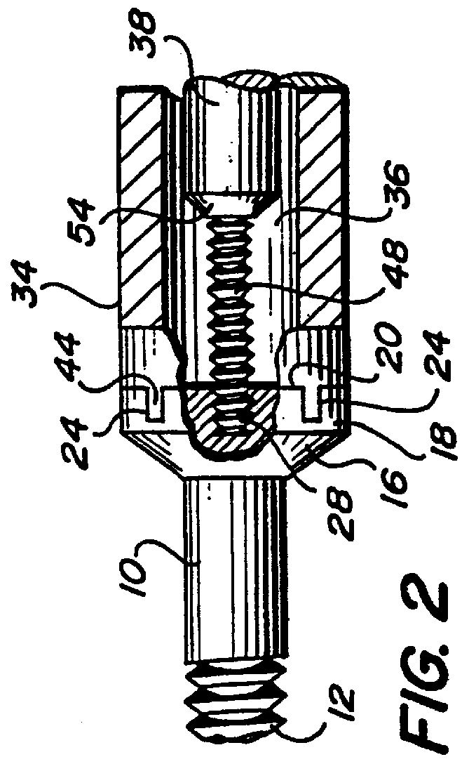 Absorbable bone screw and tool for its insertion