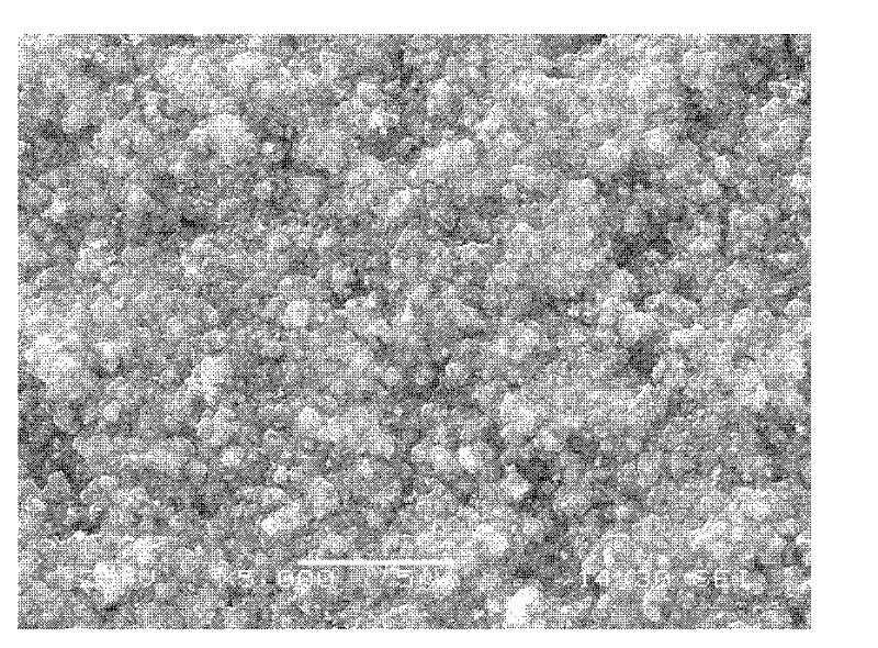 Surface erosion-resistant composite coating of carbon/carbon composite, preparation method and application thereof