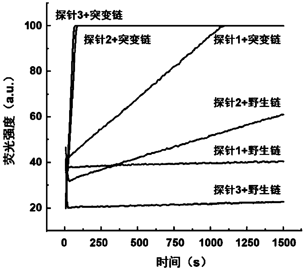 Rapid fluorescence detection method for 19# exon deleted mutation of gene EGFR and application