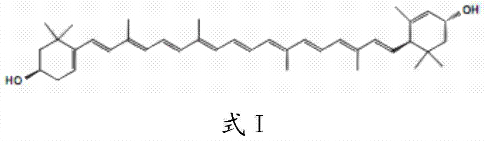 Lutein water-soluble powder and preparation method thereof