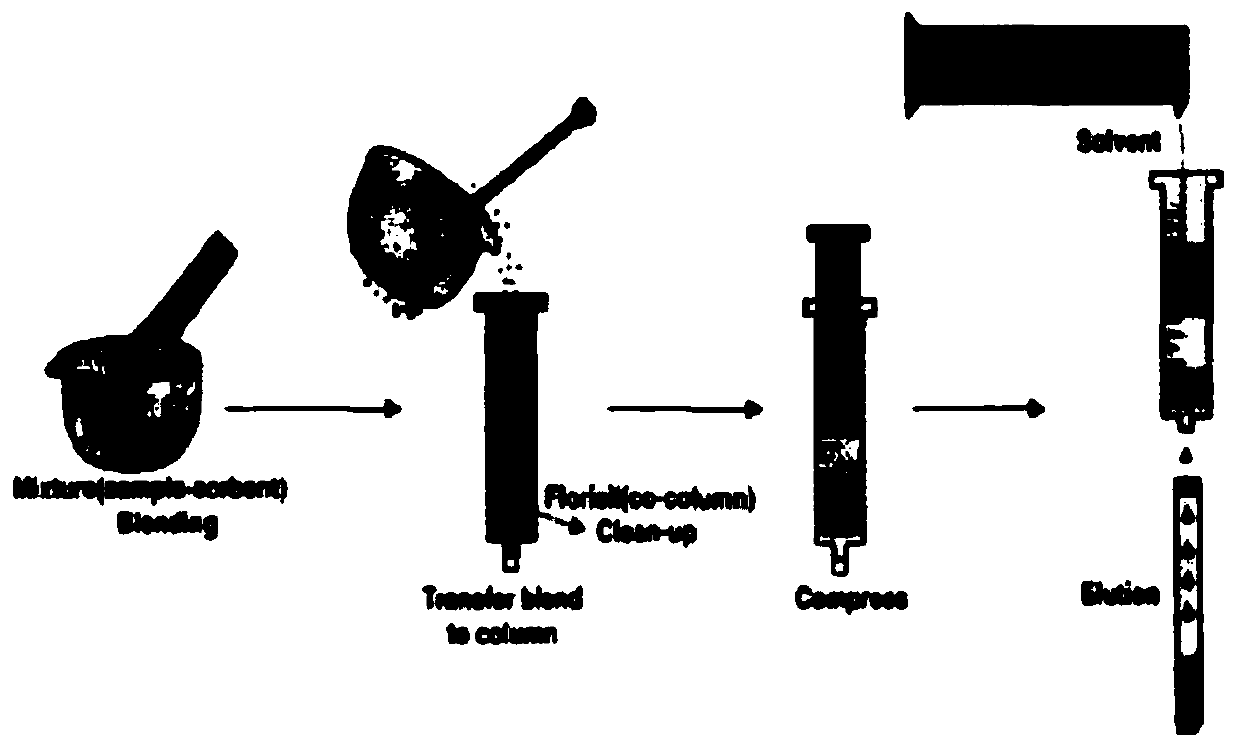 A method for extracting and detecting active components of lignans in Schisandra chinensis