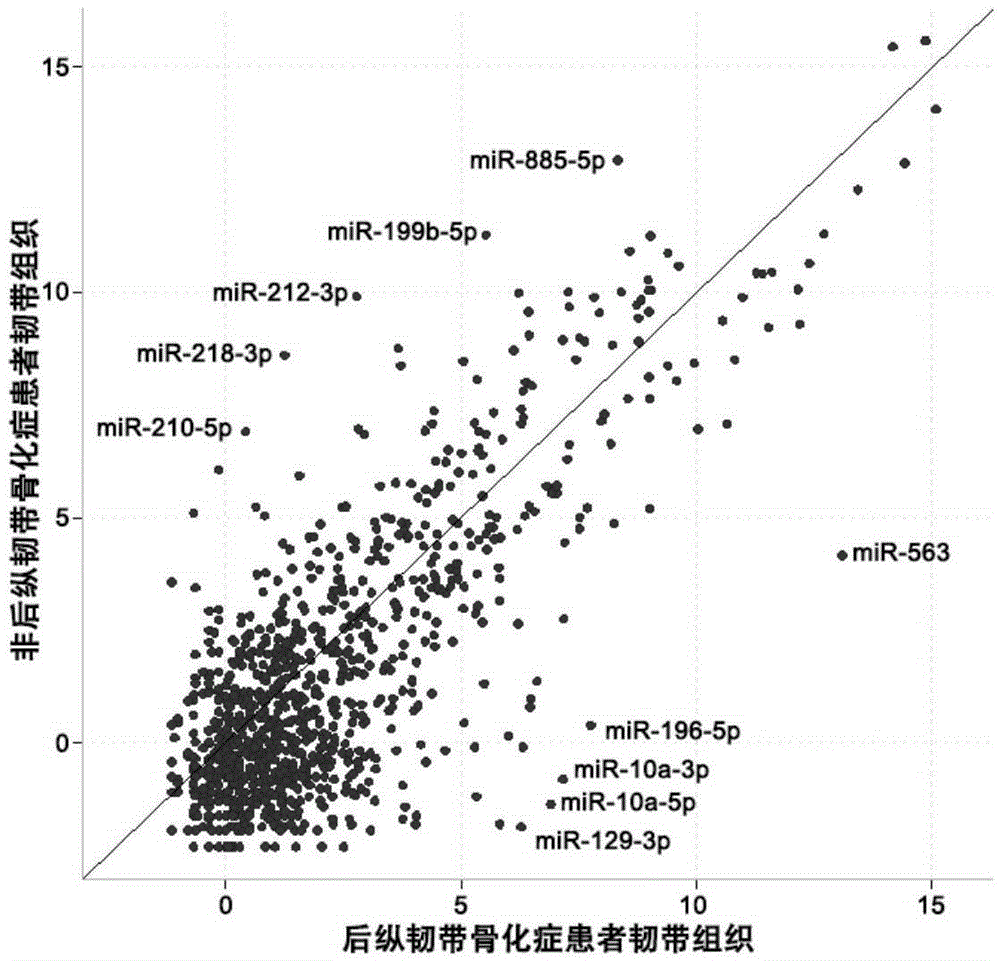 Serum miRNA markers suitable for diagnosis of ossification of posterior longitudinal ligament and application thereof