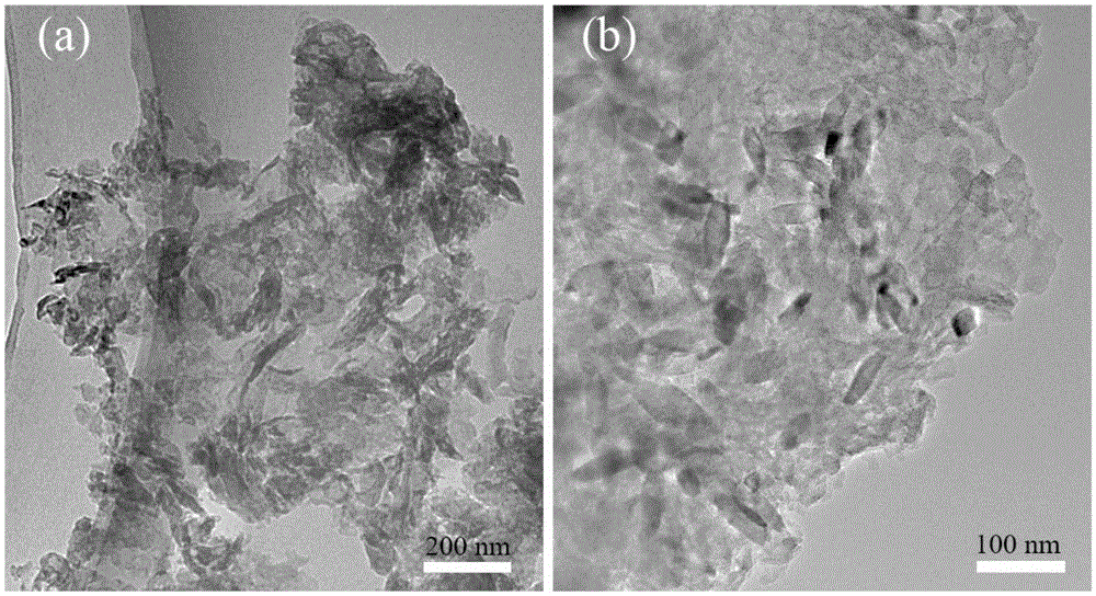 Method for synthesizing lamella g-C3N4 and TiO2 nanorod composite material through assistance of ultrasonic wave