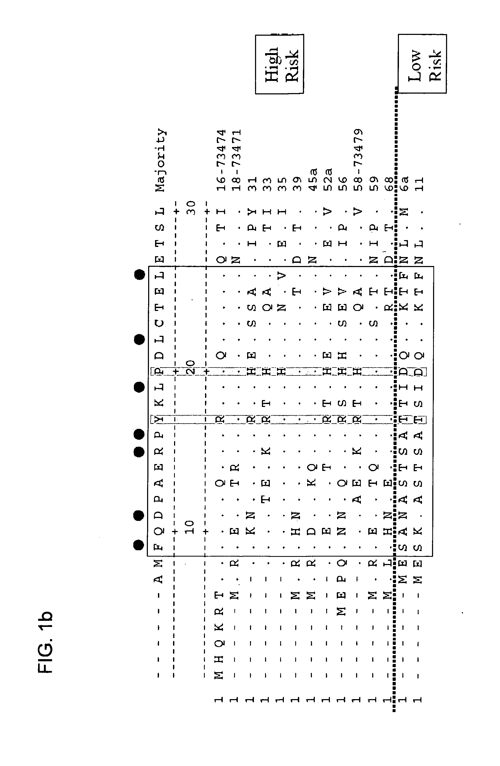 Antibodies specific to e6 proteins of HPV and use thereof