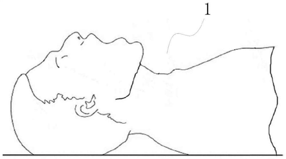 Bronchofiberscope training simulation system