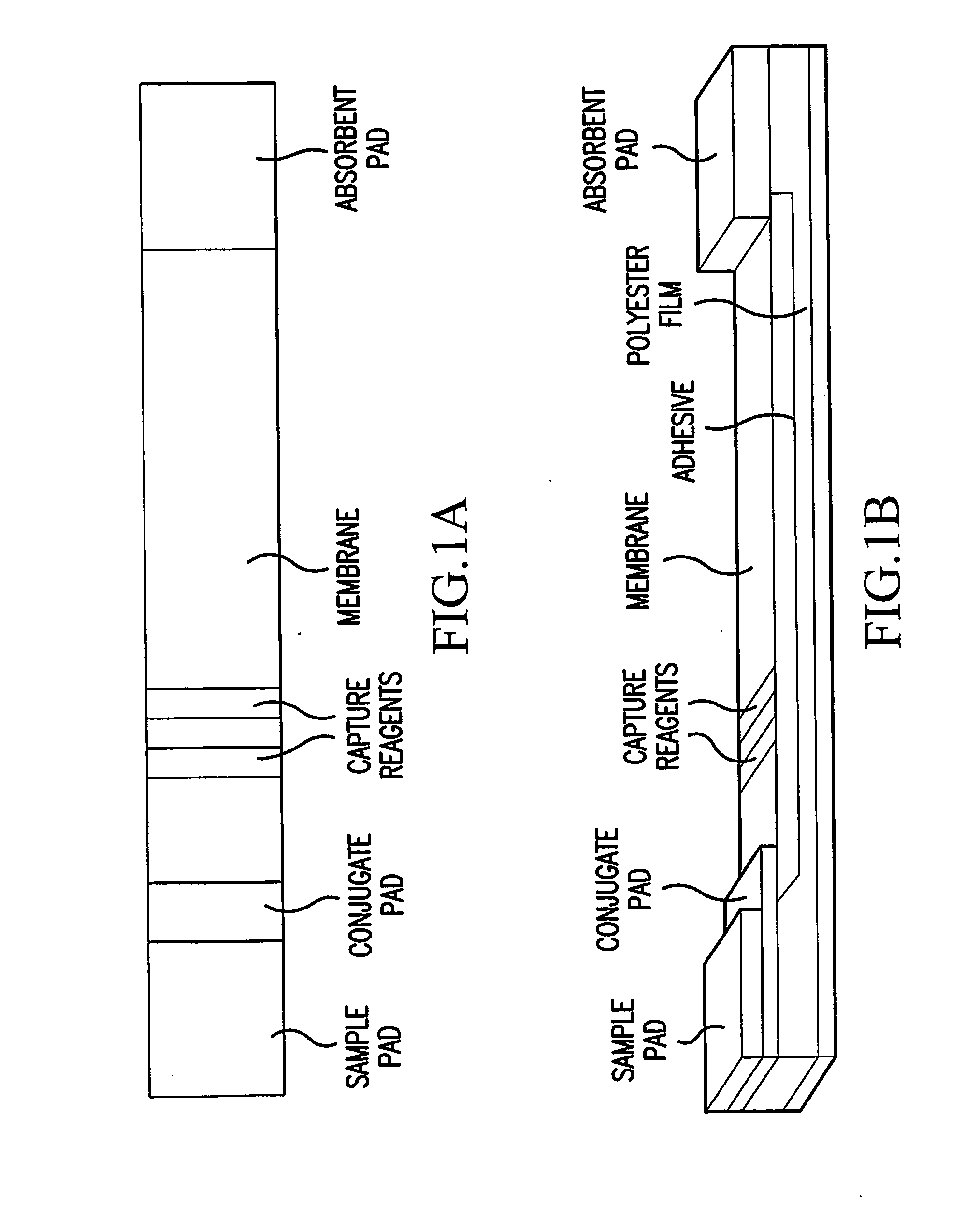 Single-Drug Multi-Ligand Conjugates for Targeted Drug Delivery