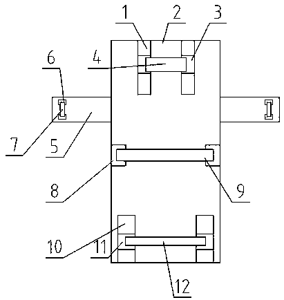 Fixing device for animal blood drawing