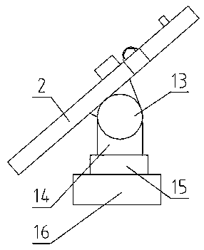 Fixing device for animal blood drawing