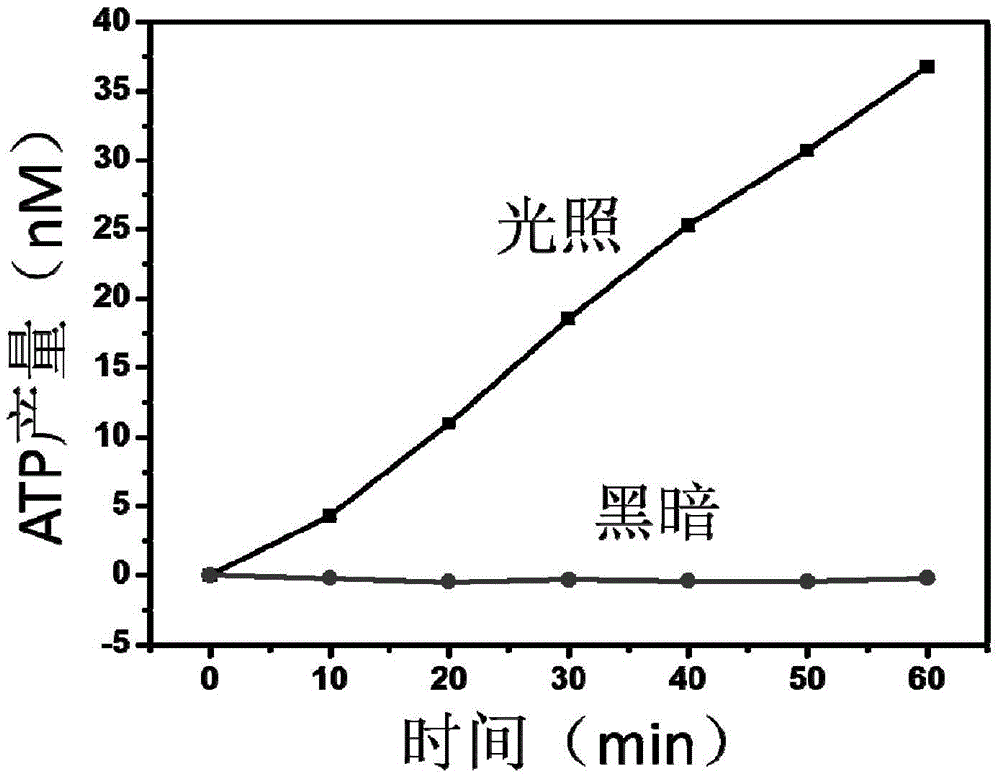 A light-controllable ATP biosynthesis system and preparation method thereof