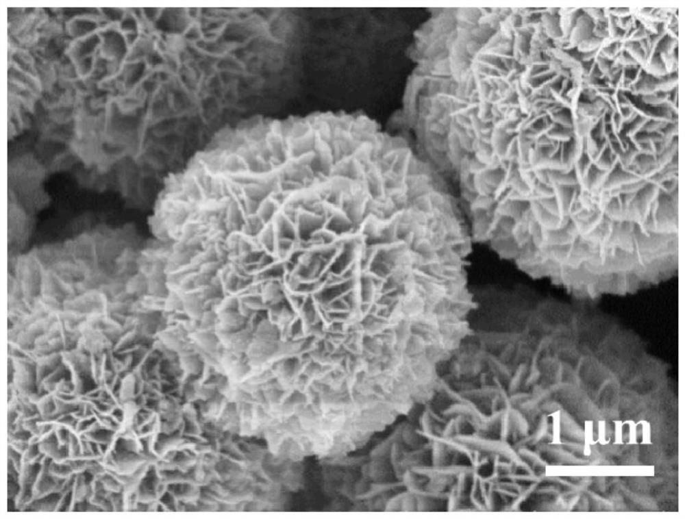 Preparation method and application of three-dimensional multistage flower-like cobalt-titanium spinel nano material