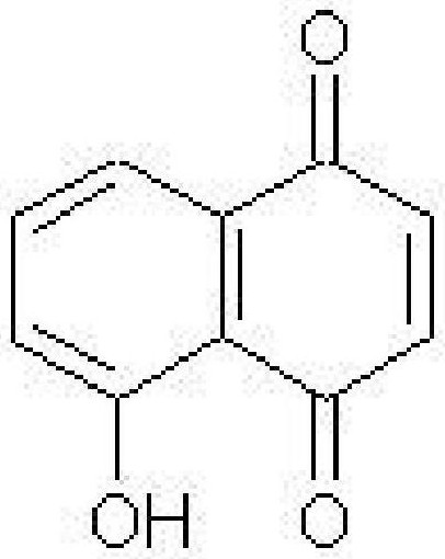 Juglans regia composite hair dye and preparation method thereof