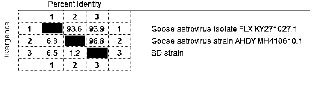 Goose astrovirus egg-yolk antibody compound and preparation method thereof