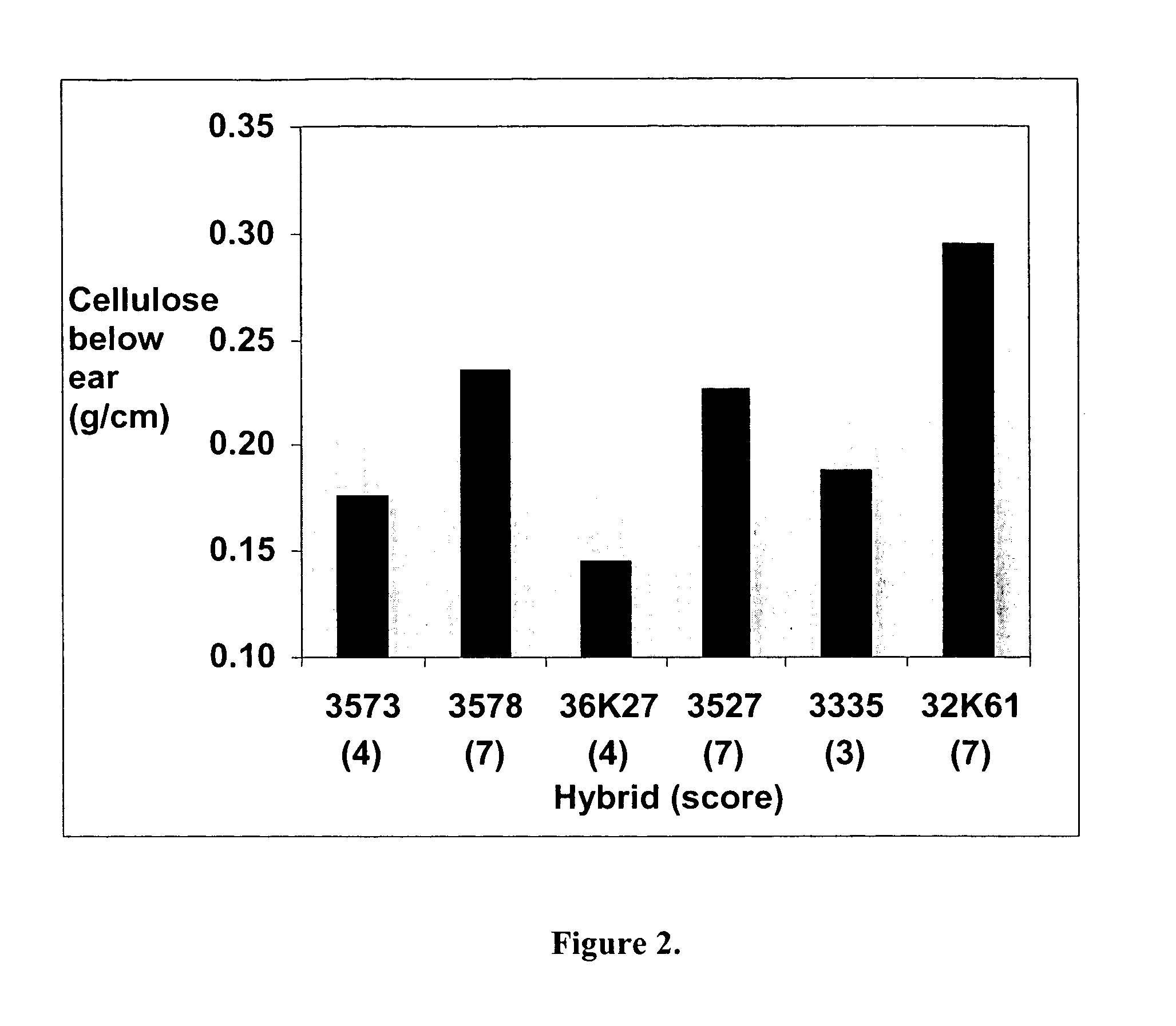Isolated sucrose sythase polynucleotides and uses thereof