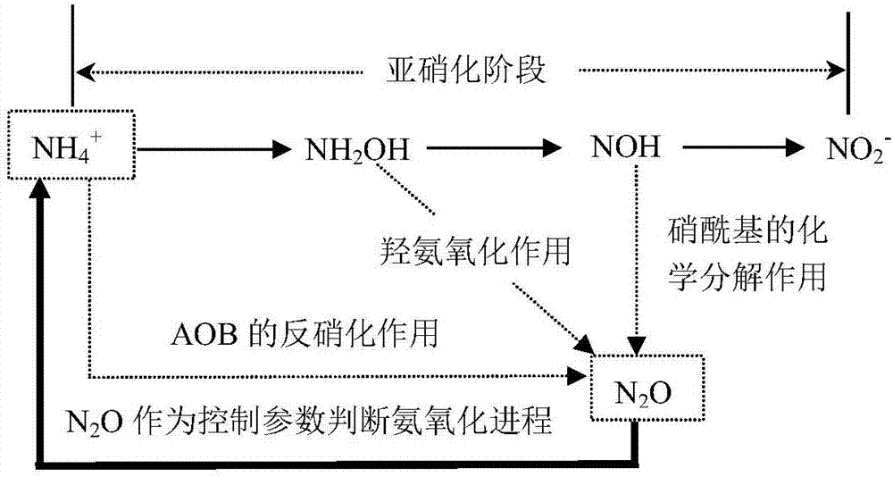 Method for judging nitrosation process of SBR process by liquid phase N2O concentration on-line detector