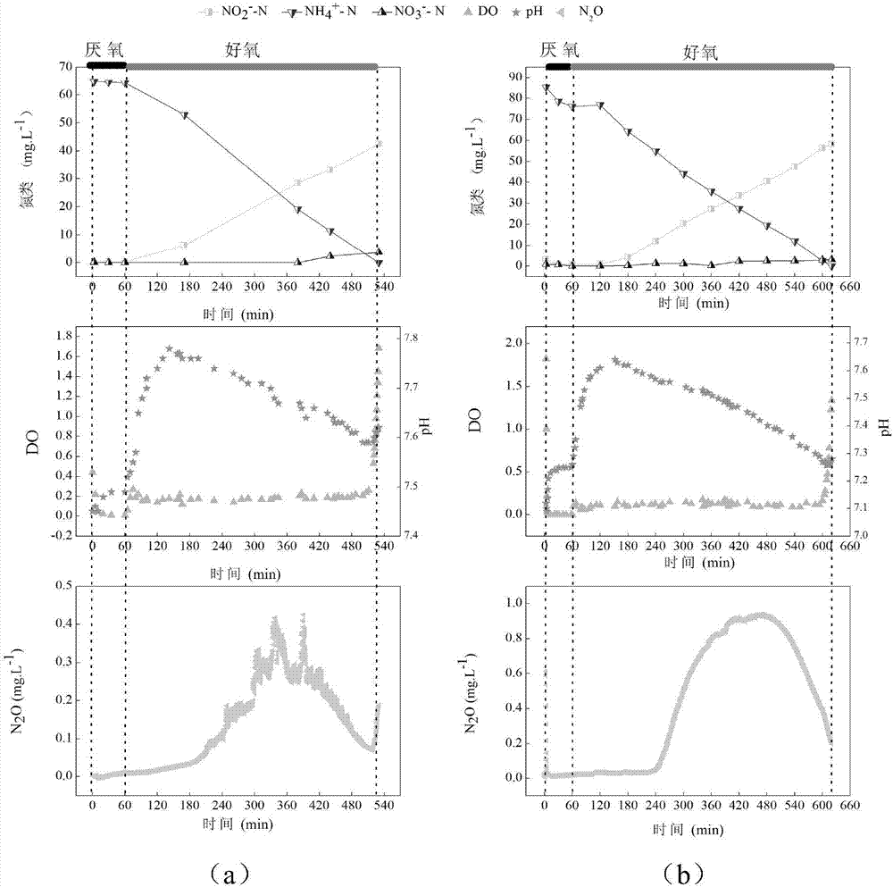 Method for judging nitrosation process of SBR process by liquid phase N2O concentration on-line detector